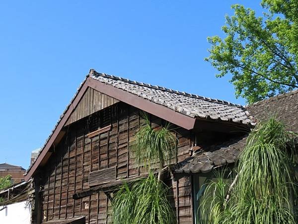 2025-03-22 15-00-51 (自訂).JPG