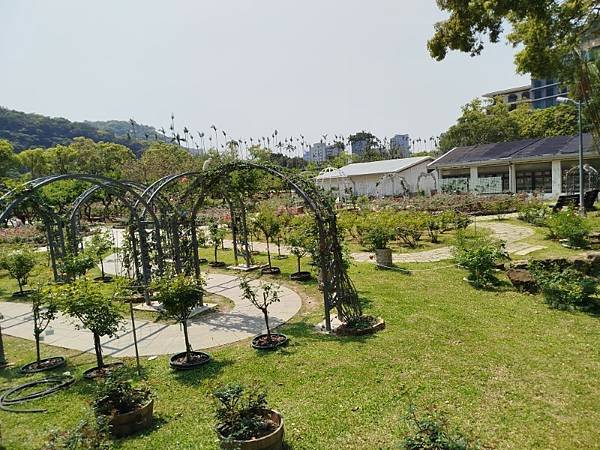 IMG_20250324_114614 (自訂).jpg