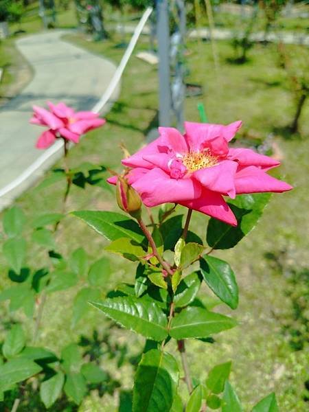 IMG_20250324_115226 (自訂).jpg