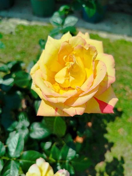 IMG_20250324_115942 (自訂).jpg