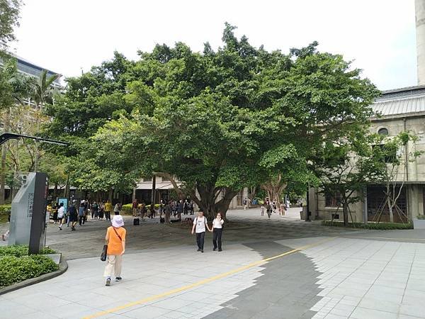 2025-04-19 14-27-55 (自訂).jpg