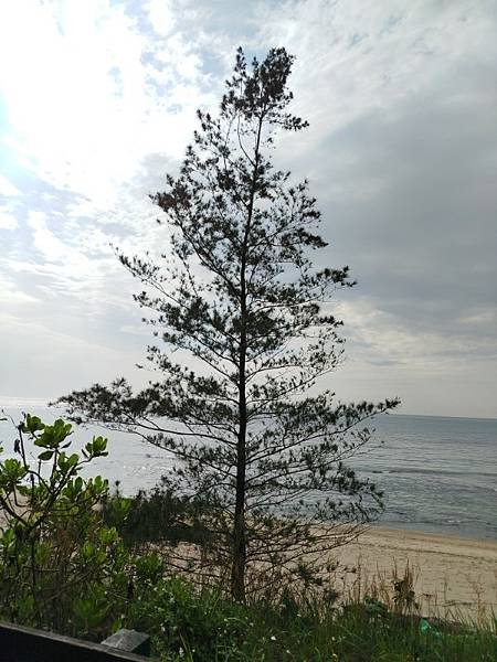 2025-05-03 15-42-47 (自訂).jpg