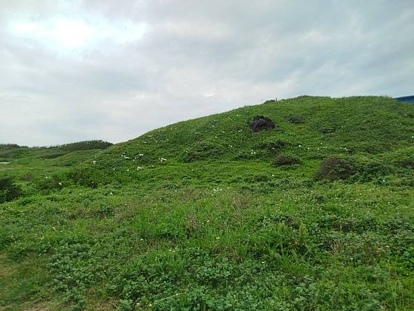 2025-05-03 14-01-59 (2) (自訂).jpg