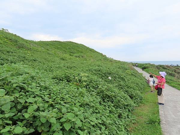 2025-05-03 14-08-02 (自訂).JPG