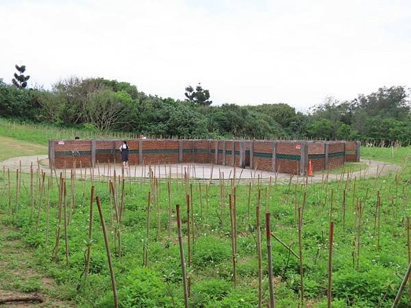 2025-05-03 14-58-03 (自訂).JPG