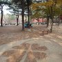 DSC07157.JPG