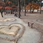 DSC07160.JPG