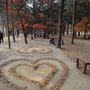 DSC07159.JPG
