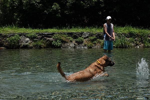 東澳湧泉狗跳水