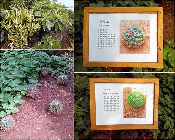 新資料夾 (2)2.jpg