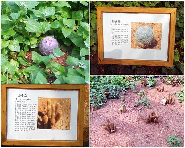 新資料夾 (2)3.jpg