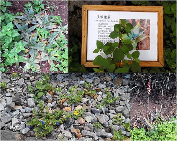 新資料夾 (2)5.jpg