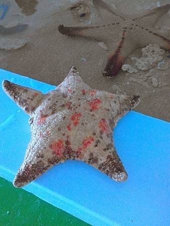IMG_20140517_111704.jpg
