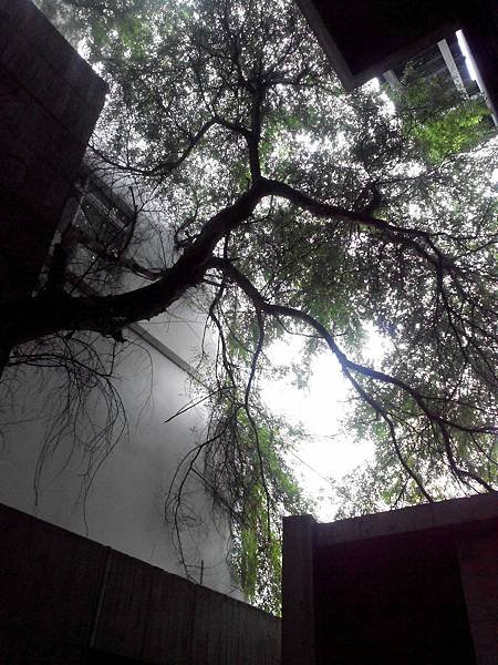 IMG_20140711_140858_1.jpg