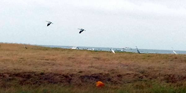 IMG_20141115_142736.jpg