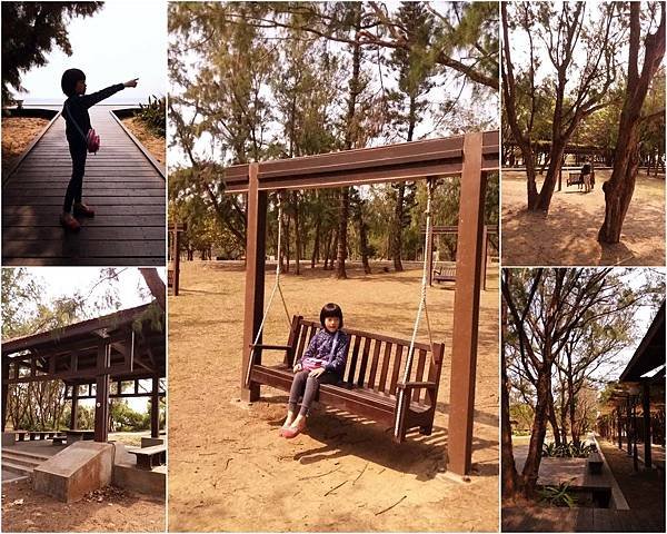 My Pictures.jpg