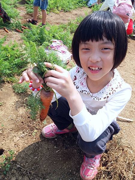 20170409_102413.jpg