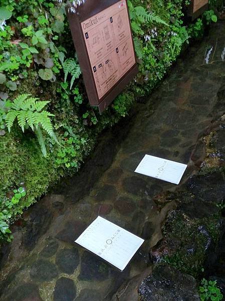 20170707_113518-1.jpg