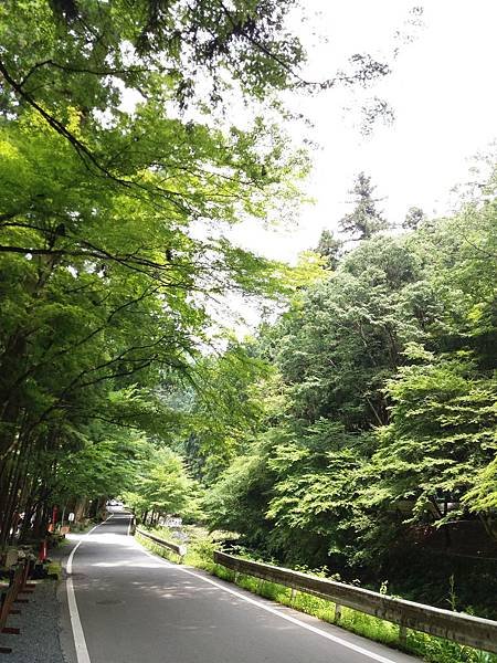 20170707_120756.jpg
