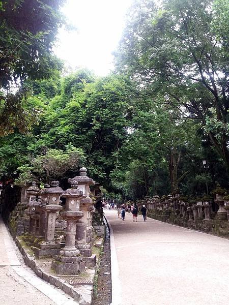 20170709_104438.jpg