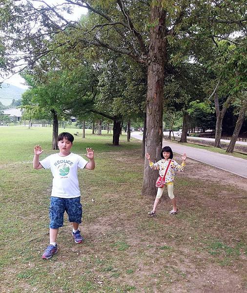 20170709_112930.jpg
