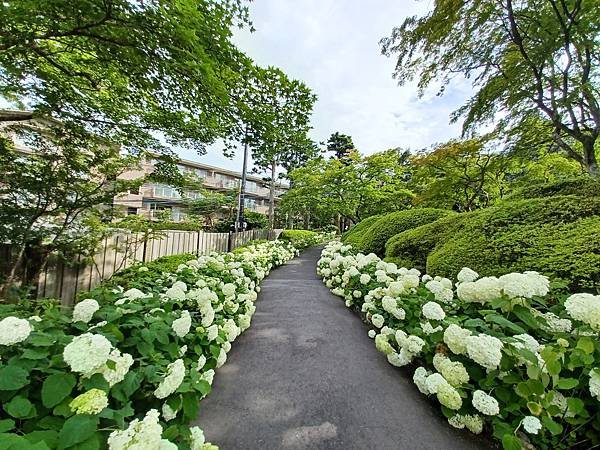 御殿場outlet 及強羅公園:箱根三日之二(2023東京D