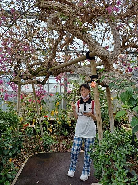御殿場outlet 及強羅公園:箱根三日之二(2023東京D