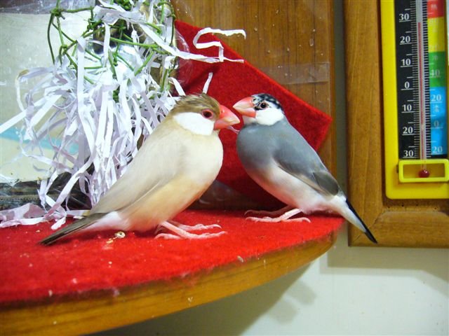 P1120003.JPG