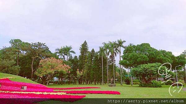 青年公園a