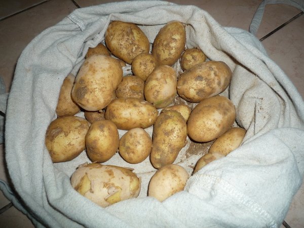 potatoes