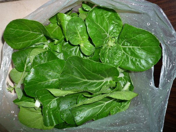 Bok Choi 130