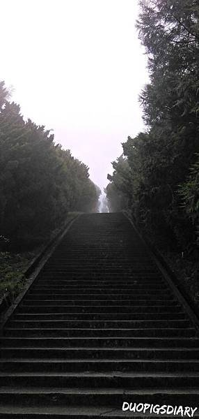 IMAG1083.jpg