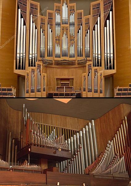 organ.jpg