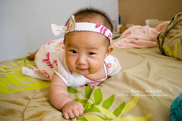 IMGP9806.jpg