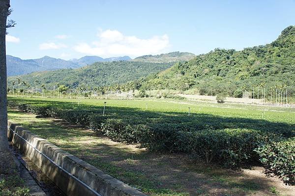 DSC01656.JPG
