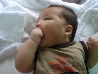 DSC09824.JPG