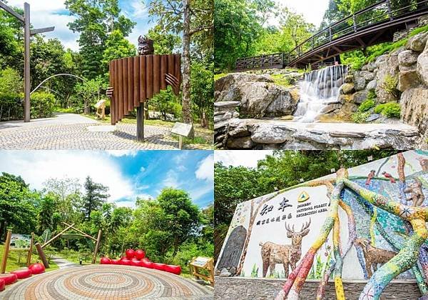 台東親子景點-知本國家森林遊樂區.jpg