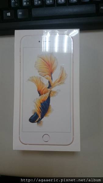 IPHONE6SPLUS-1.JPG