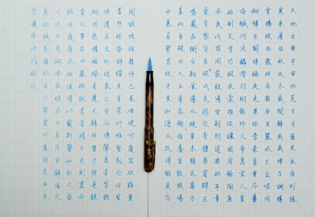 010.jpg