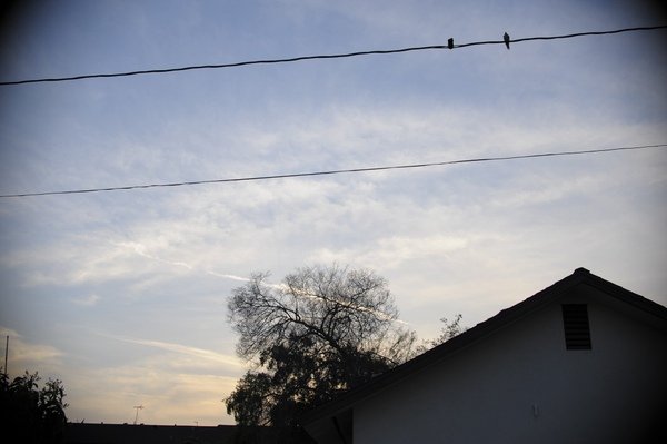 p56s1.jpg