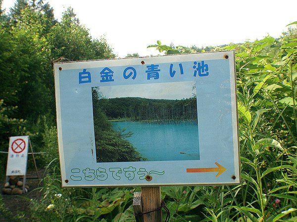 青池入口.jpg