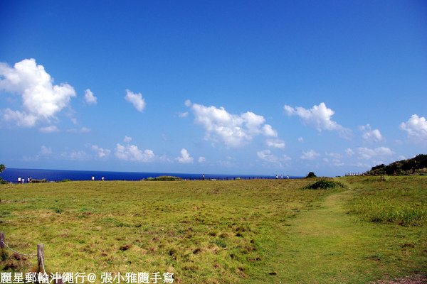 一大片草地