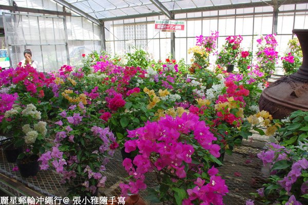 住在這樣的花園,即便只有兩個星期壽命也甘願
