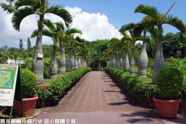 園內滿是熱帶植物