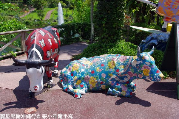 讓我想到去台東初鹿牧場的情形