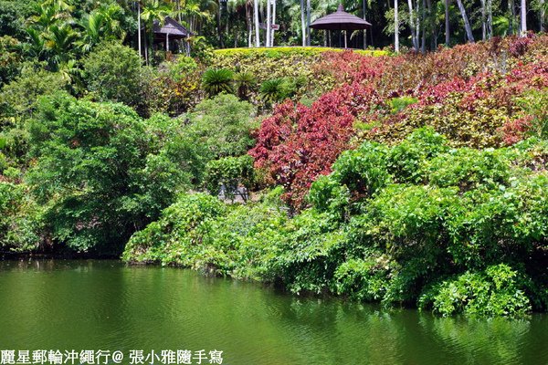 紅綠相襯