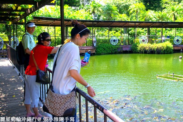 先到鯉魚池餵魚