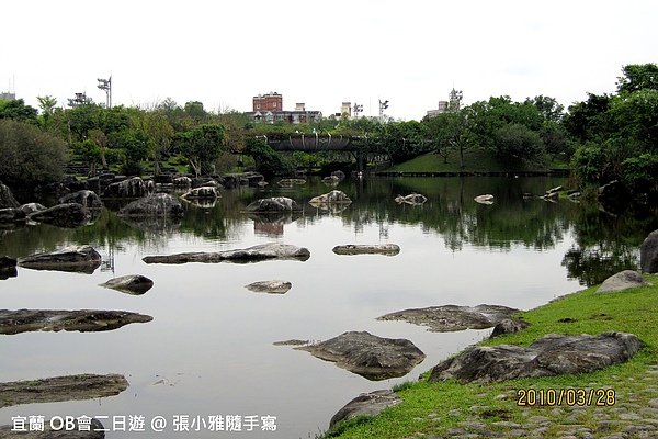 石頭好像浮在水面的鱷魚