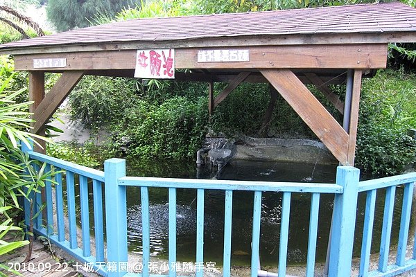 還有許願池