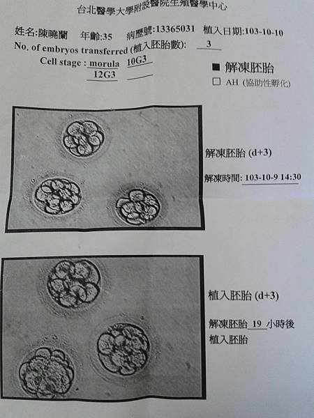 喜羊羊[1]